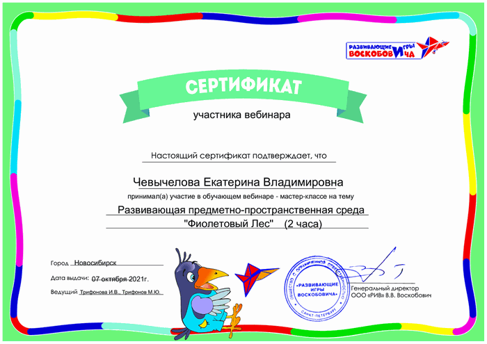 сертификат Чевычелова Екатерина Владимировна
